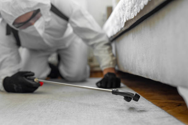 Professional Termite Control technician working in Carlisle, IA