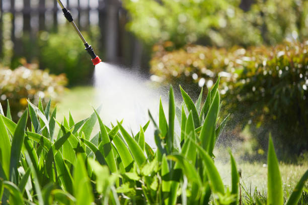 24/7 Emergency Termite Control experts in Carlisle, IA