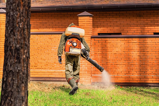 Trusted Mosquito Control service in Carlisle, IA - Nex Pest Control